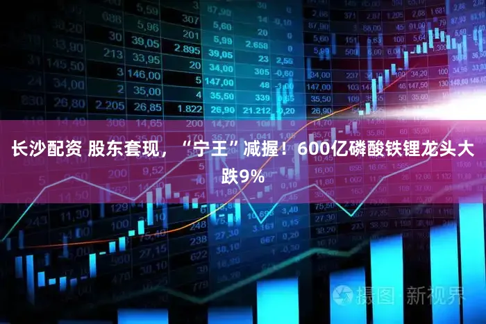 长沙配资 股东套现，“宁王”减握！600亿磷酸铁锂龙头大跌9%