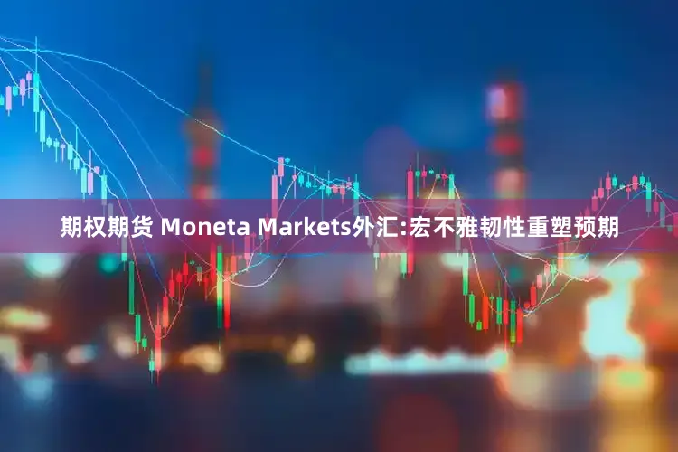 期权期货 Moneta Markets外汇:宏不雅韧性重塑预期