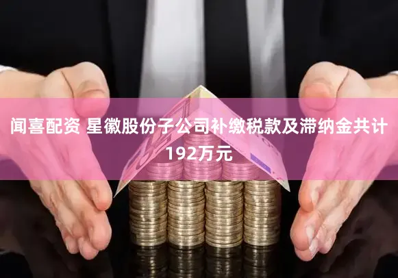 闻喜配资 星徽股份子公司补缴税款及滞纳金共计192万元