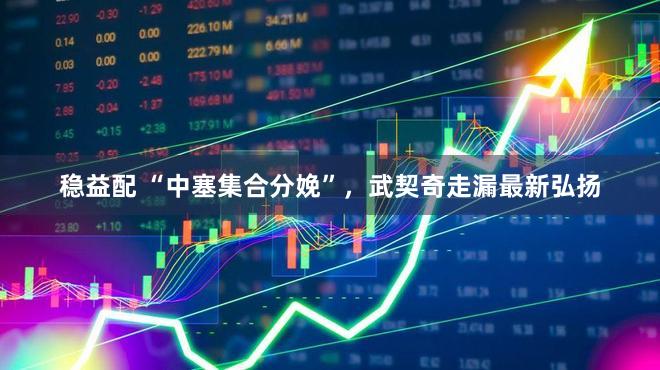 稳益配 “中塞集合分娩”，武契奇走漏最新弘扬