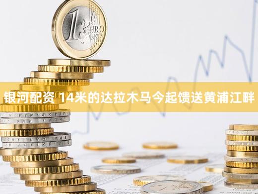 银河配资 14米的达拉木马今起馈送黄浦江畔