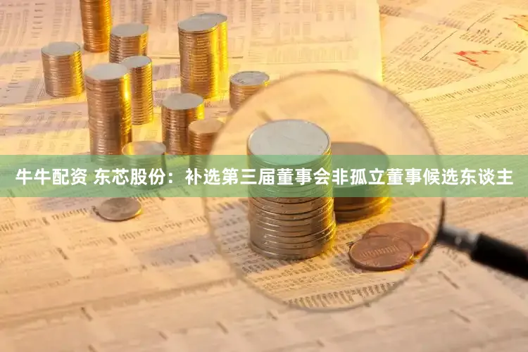 牛牛配资 东芯股份：补选第三届董事会非孤立董事候选东谈主