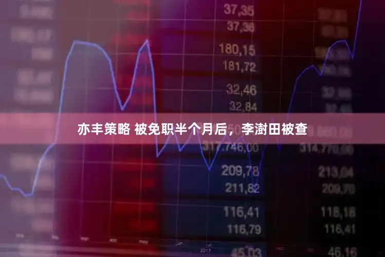 亦丰策略 被免职半个月后，李澍田被查