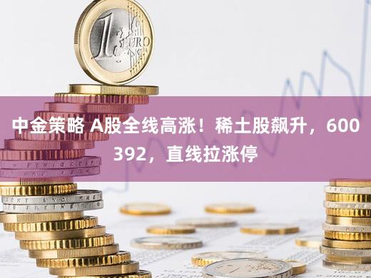 中金策略 A股全线高涨!稀土股飙升,600392,直线拉涨停