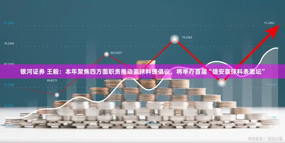 银河证券 王毅：本年聚焦四方面职责推动寰球料理倡议，将举办首届“雄安寰球料表面坛”