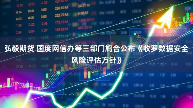 弘毅期货 国度网信办等三部门鸠合公布《收罗数据安全风险评估方针》